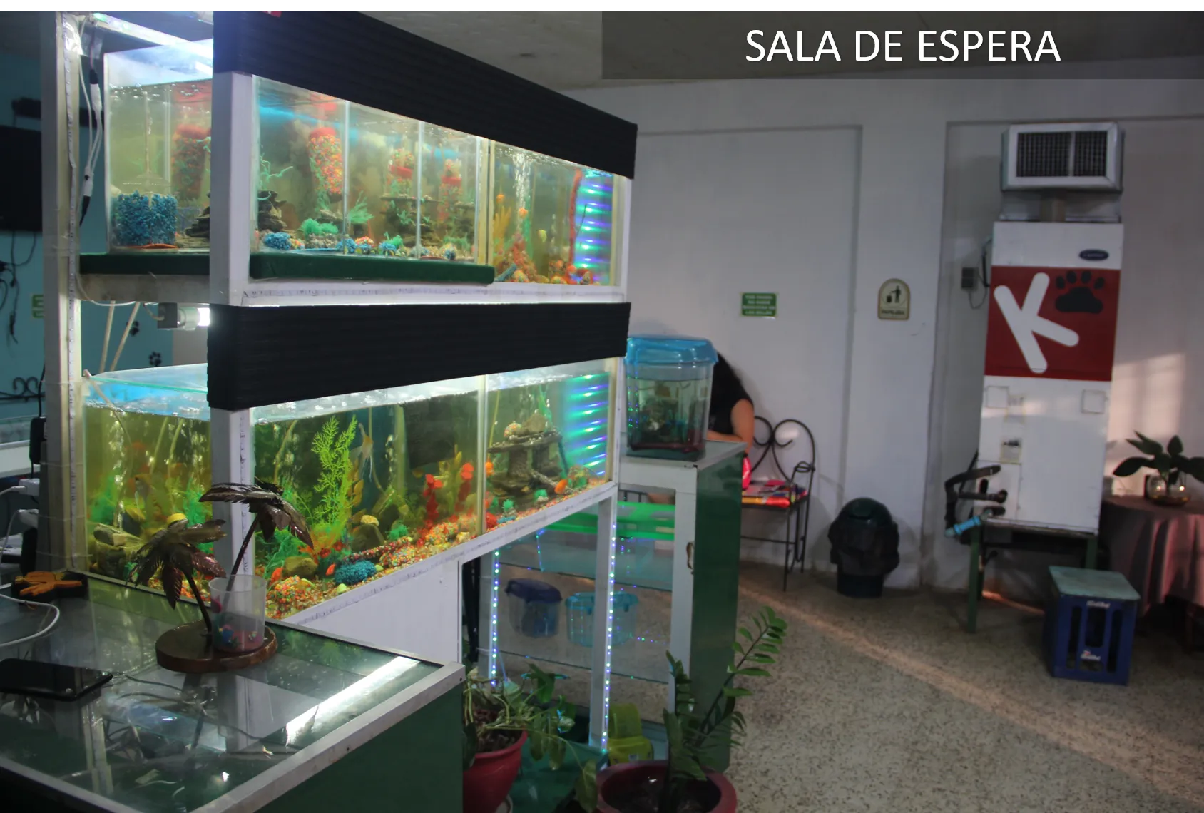 Instalación 2